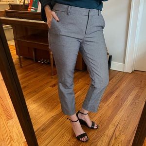 Ann Taylor work pant